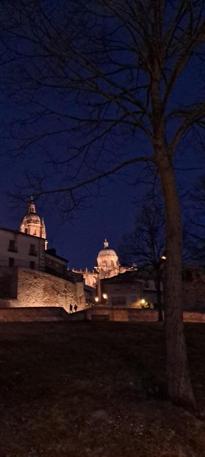 Vivienda De Uso Turistico Encrucijada De Culturas Lägenhet Salamanca Exteriör bild